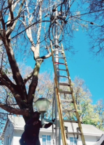 Repair and maintenance of street lights and high mast light at Ikageng local stage